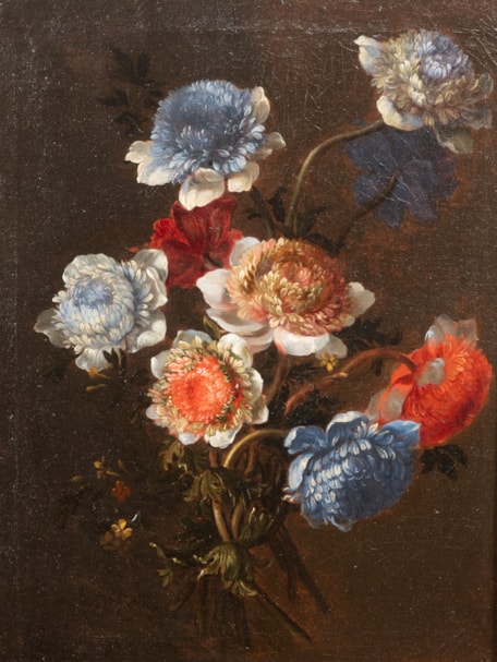 Jetée d’anémones doubles