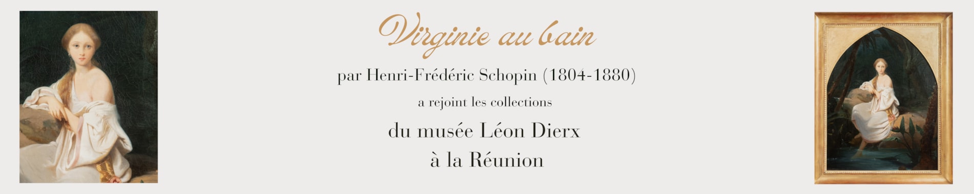 Nausicaa home banner